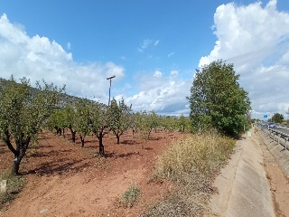 4, Parcela 206  OROPESA 13