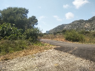 4, Parcela 206  OROPESA 14