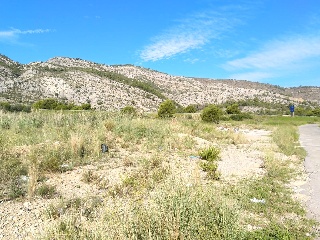 5, Parcela, CONILLER 2