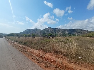5, Parcela, CONILLER 15