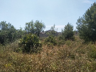5, Parcela, CONILLER 18