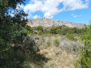 Otros en venta en Oropesa Del Mar/orpesa