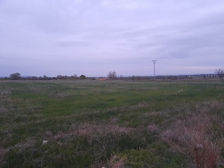 Almugay 11