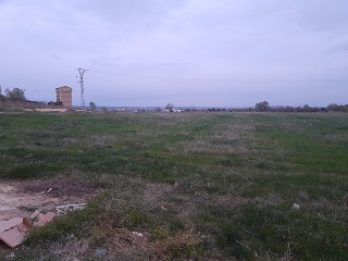 Almugay 14