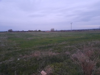 Almugay 15