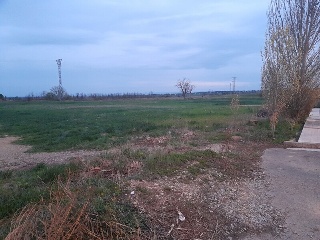 Almugay 17