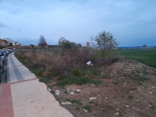 Almugay 19