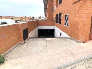 Carpio 2