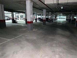Carpio 3