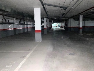 Carpio 4