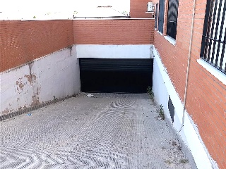 Carpio 6