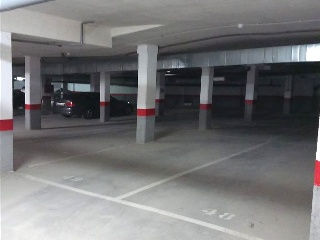 Carpio 5
