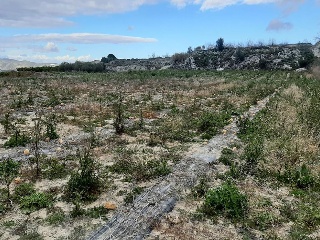 Benifumet. La Pobla Del Duc 2