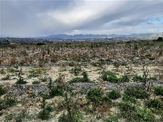 Benifumet. La Pobla Del Duc 3