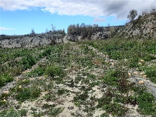 Benifumet. La Pobla Del Duc 6