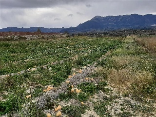 Benifumet. La Pobla Del Duc 8