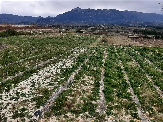 Benifumet. La Pobla Del Duc 9