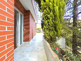 Balbacienta 31