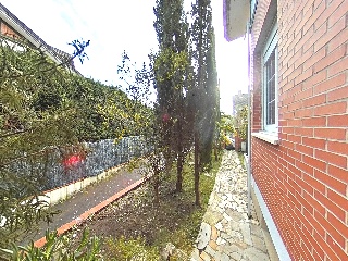 Balbacienta 35