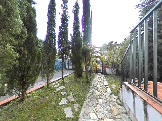 Balbacienta 36