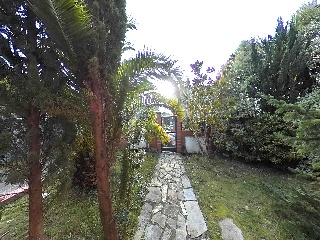 Balbacienta 38