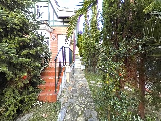 Balbacienta 39