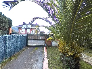 Balbacienta 41