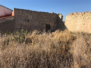 San Gregorio 8