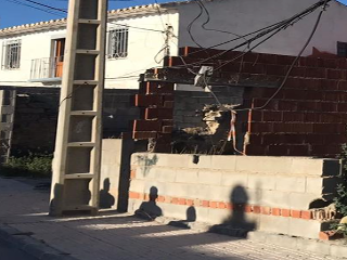 San Gregorio 14
