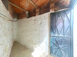 Virgen 26