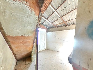 Virgen 31