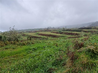Lomo Hurtado 8