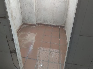 Hermanos Pinzon 5