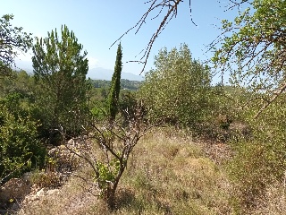 Portichol 7