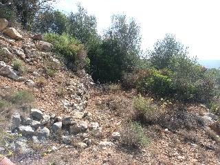 Portichol 10