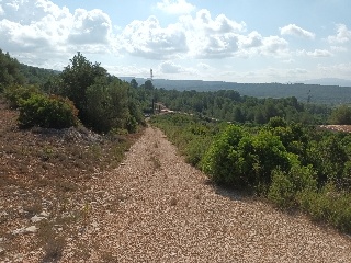 Portichol 11