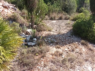 Portichol 12