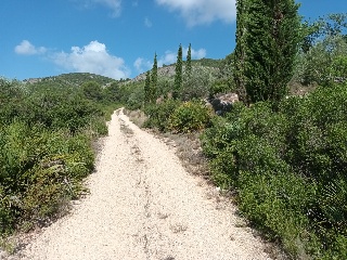 Portichol 14