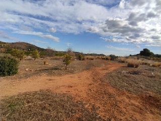Otros en venta en Almenara