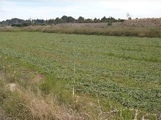 POLIGONO 46, PARTIDA GALLIPONT 2