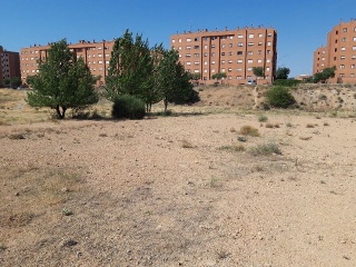 FRNACISCO SUAY 10