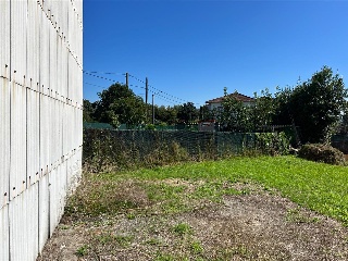 ORTEGA GASSET 3