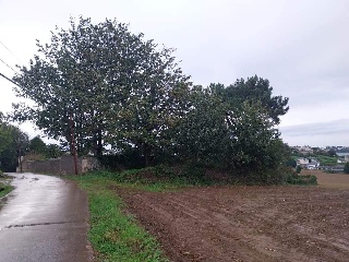 QUINTALONGA 3