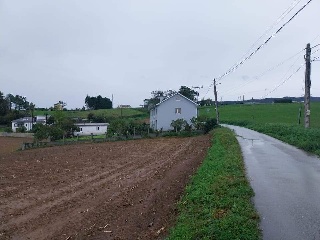 QUINTALONGA 6