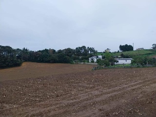 QUINTALONGA 7