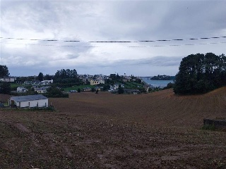 QUINTALONGA 8