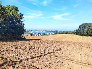 QUINTALONGA 13