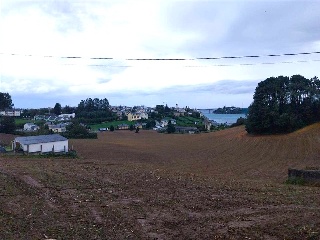 QUINTALONGA 15