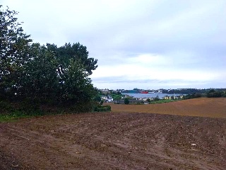 QUINTALONGA 16