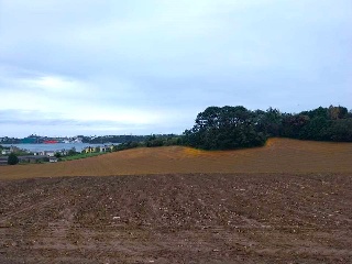 QUINTALONGA 17